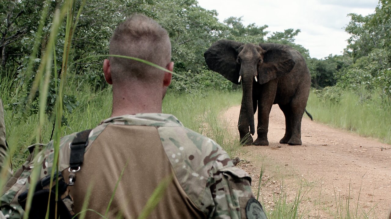 A Reason To Fight | Anti-Poachers in Kasungu National Park