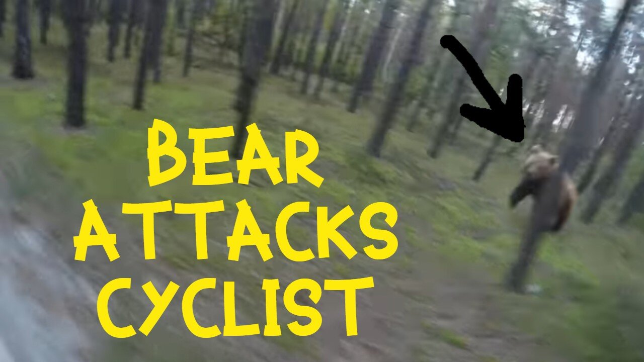 TERRIBLE BEAR ATTACK ON A MAN