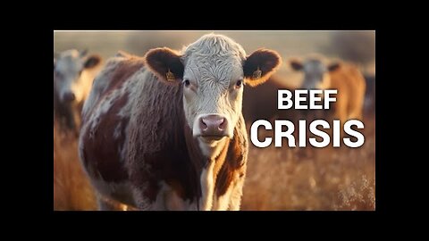 2025 Food Costs and Where We Go from Here