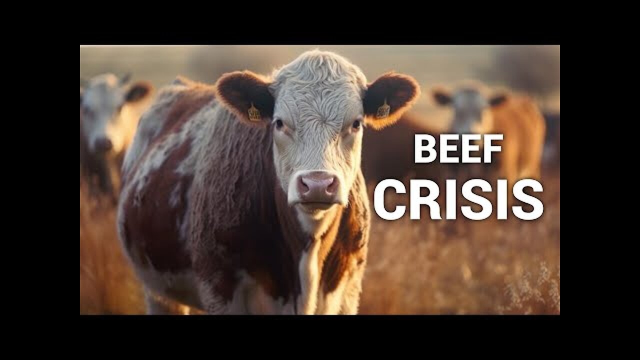 2025 Food Costs and Where We Go from Here