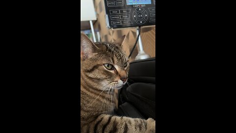 😄🐈❤️Massage