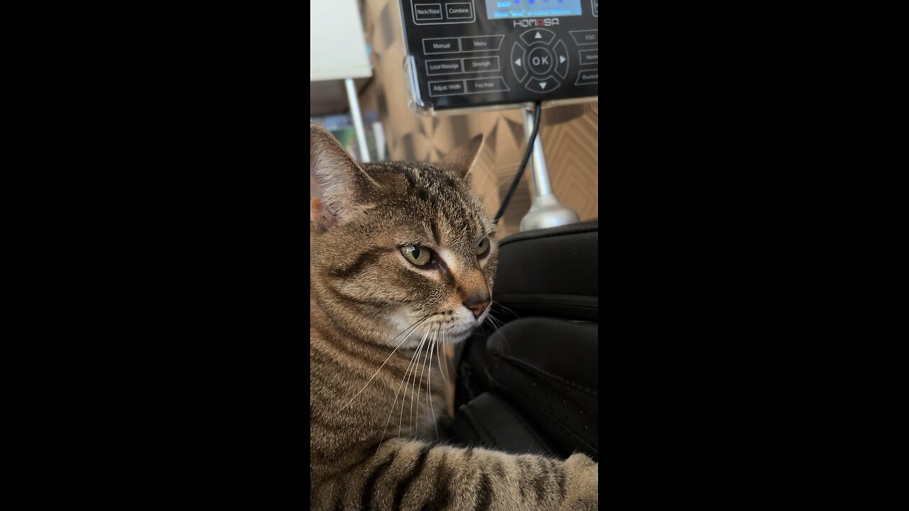 😄🐈❤️Massage