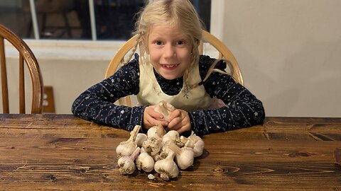 Garlic Planting