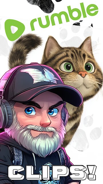 Welcome Yarnie and Salem! New KITTEN's playing!