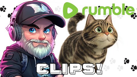 Welcome Yarnie and Salem! New KITTEN's playing!