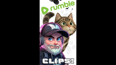 Welcome Yarnie and Salem! New KITTEN's playing!