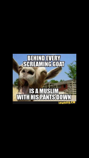 All of America to become muslim