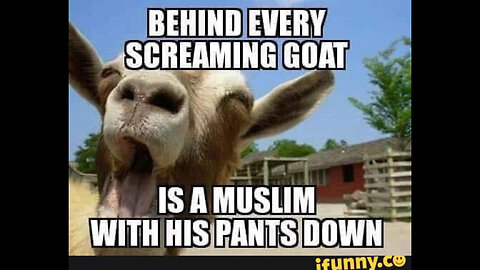 All of America to become muslim