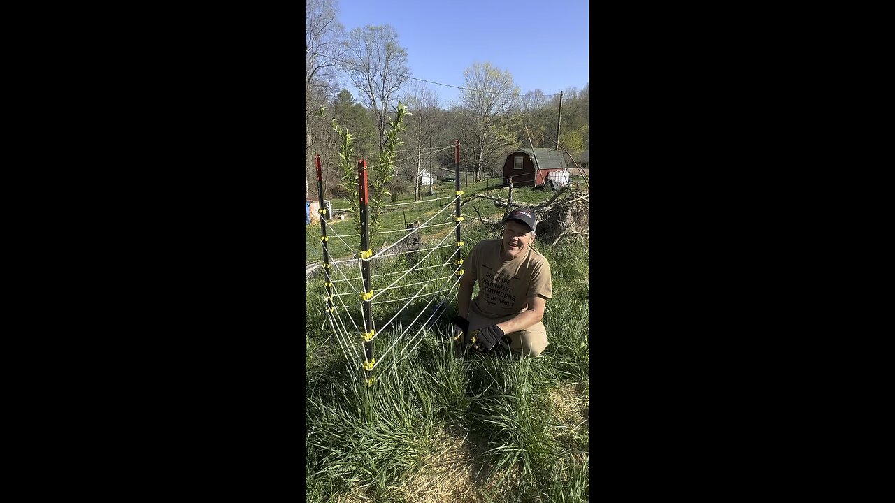 Easy Fertilizer Hack #shorts #gardening