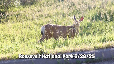 Roosevelt National Park 6/28/25