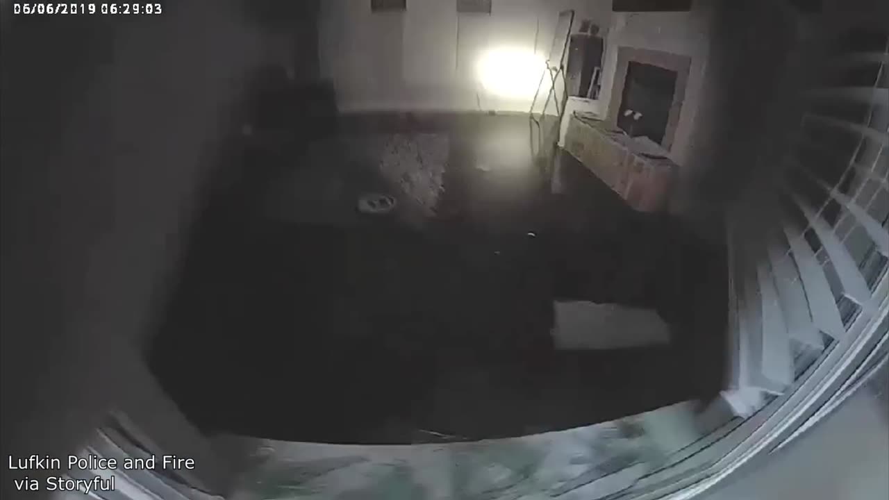 Craziest Police Videos on the Internet