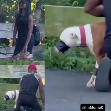 Blacks being black (update added)