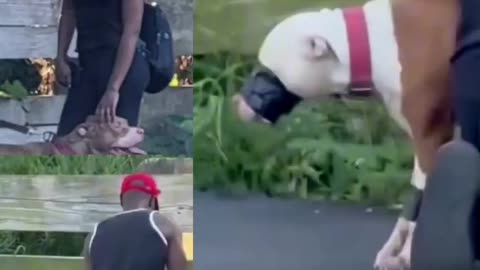 Blacks being black (update added)