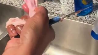 FAKE FOOD ALERT! Was this Turkey 3D Printed?