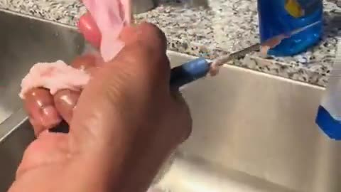 FAKE FOOD ALERT! Was this Turkey 3D Printed?