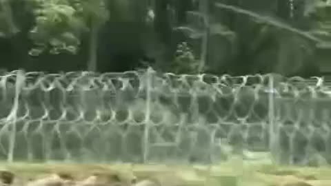 The western borders of Ukraine are covered with barbed wire