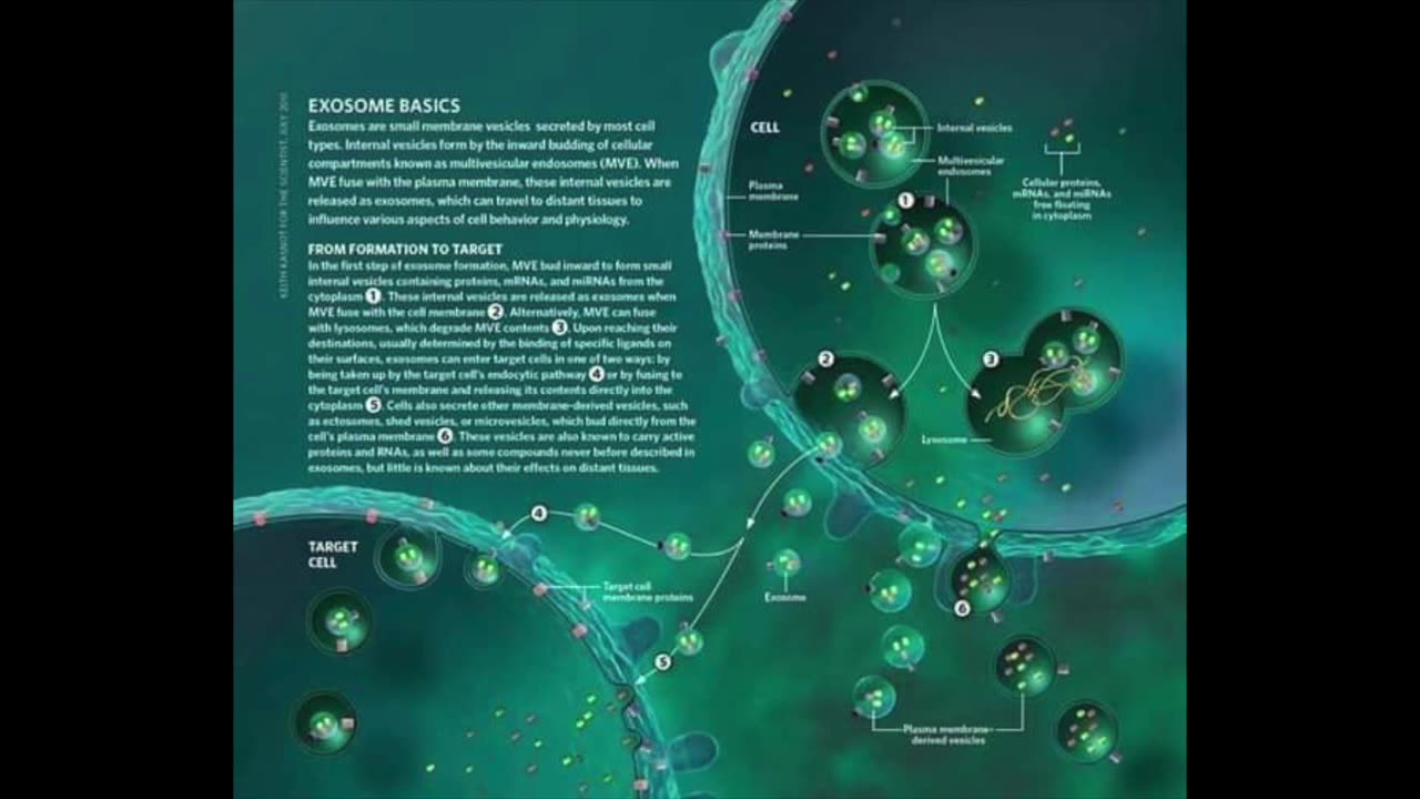 ChatGPT Questions Mainstream Medicine | Part 1: Terrain Theory & Pharma Insight
