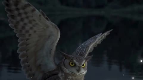 🦉 उल्लू और रहस्यमयी रात