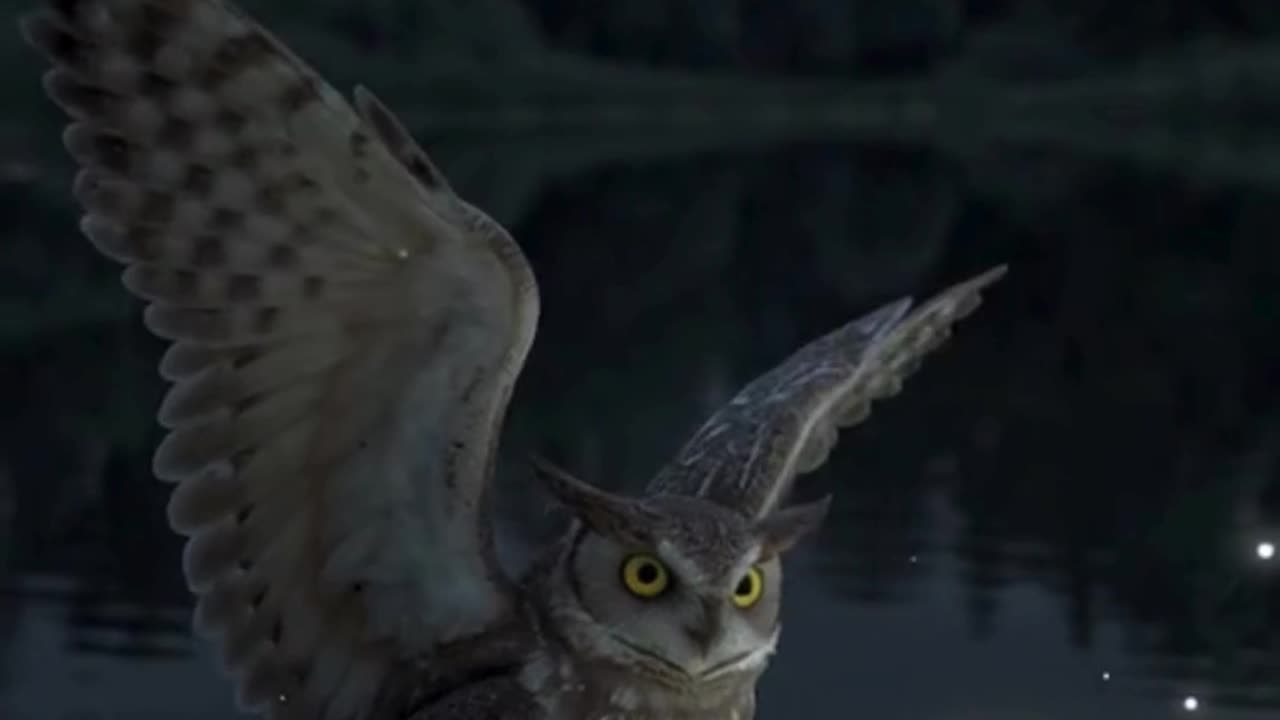 🦉 उल्लू और रहस्यमयी रात