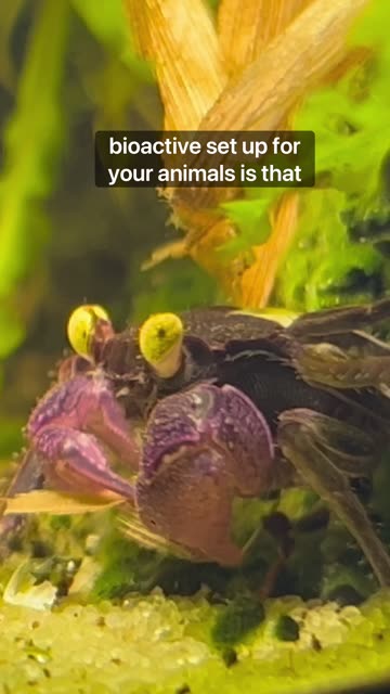 One of my favorite things