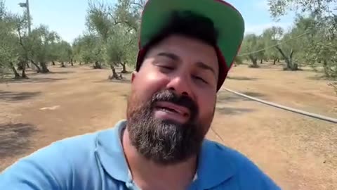 Se vogliamo la frutta buona…