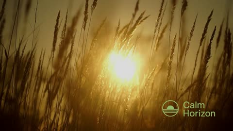Fragments Of Sunlight