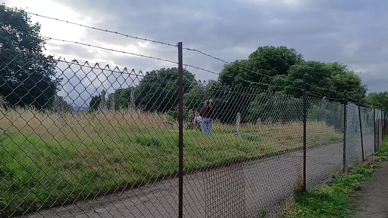 Accidently ruining the grave scene by coughing after lily barked