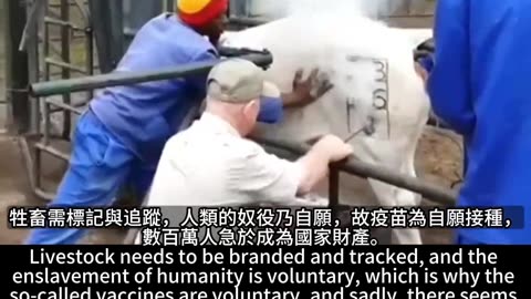 1995年喪屍計劃 新版廣東話
