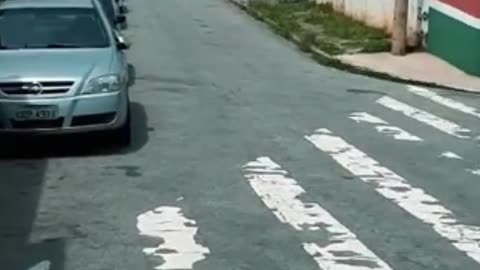 2020 Caminhada pela Avenida Parada Pinto dos Bancários até o Lauzane Paulista