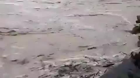 Tutto sotto controllo