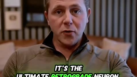 A breakthrough in neuroscience just happened