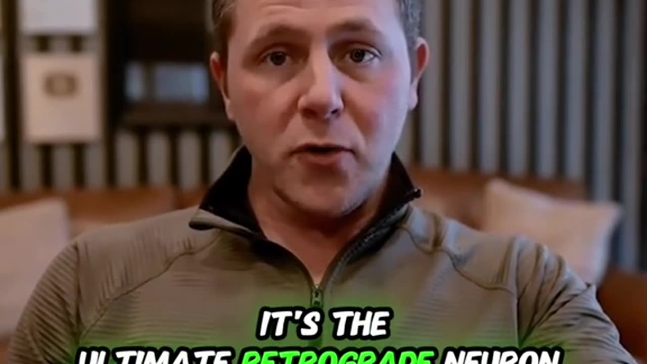 A breakthrough in neuroscience just happened