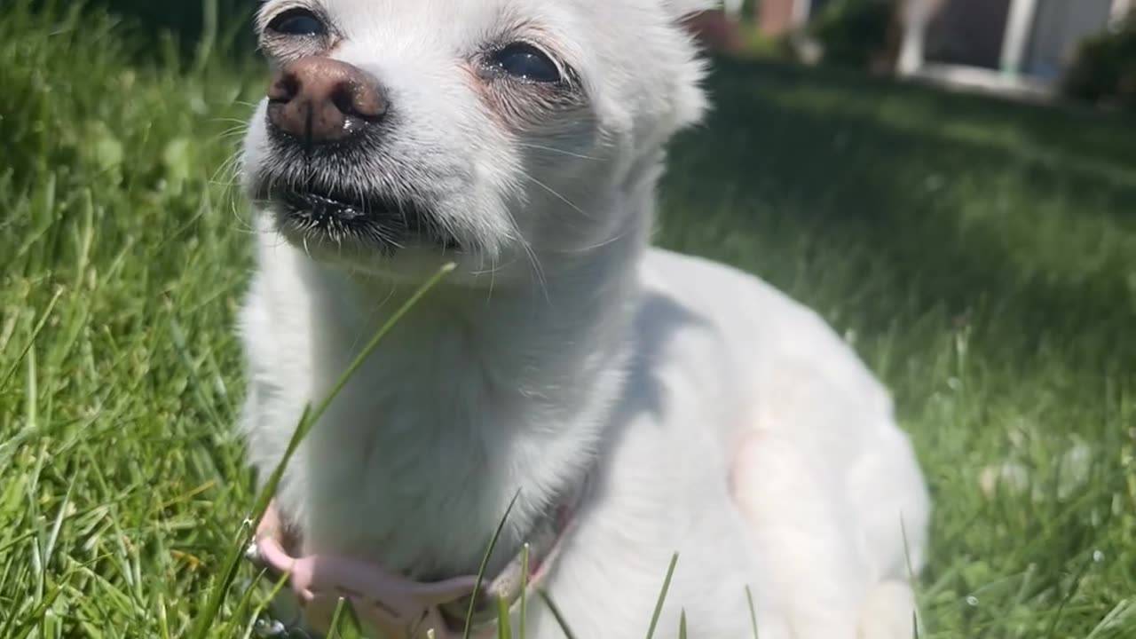 Enjoying the sunshine 🌞