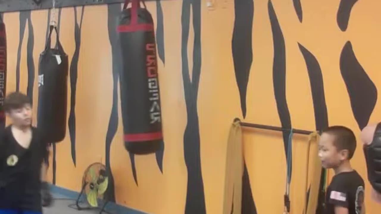 Tong Hap Kwan Kids Kickboxing & Kids Chon Tu Taekwondo Class Part 1
