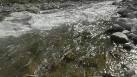 🌳 3M TV: Relax in Green Forest 🌊 Birds Chirping, Spring Water, Nature Sounds 💤 Adventure