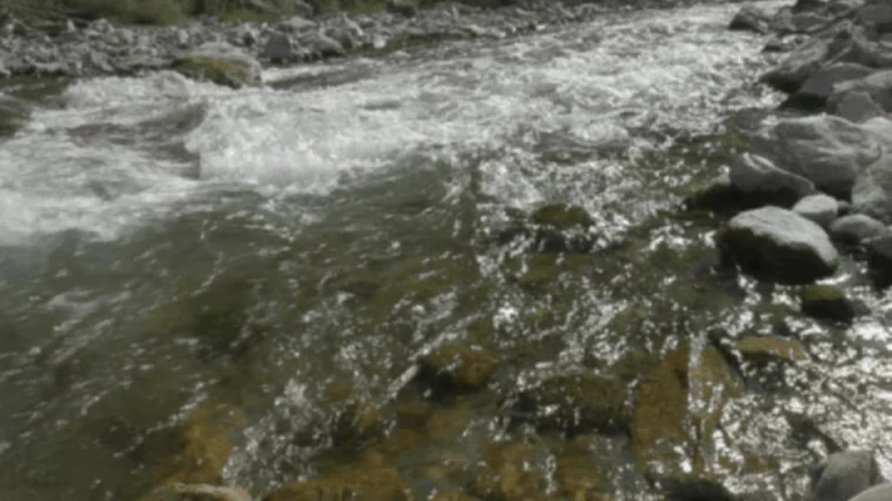 🌳 3M TV: Relax in Green Forest 🌊 Birds Chirping, Spring Water, Nature Sounds 💤 Adventure