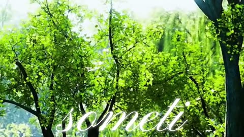 Discovering Value in Silence