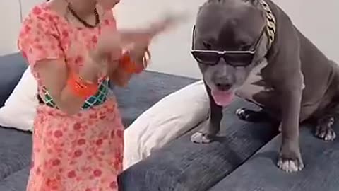 “Dog’s Day Out: Adventures and Laughs” “When Dogs Get Too Silly!”