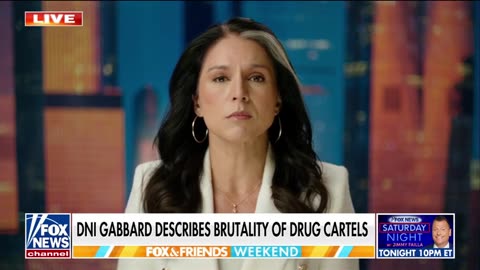 DNI Gabbard Describes The Savagery Of Cartels