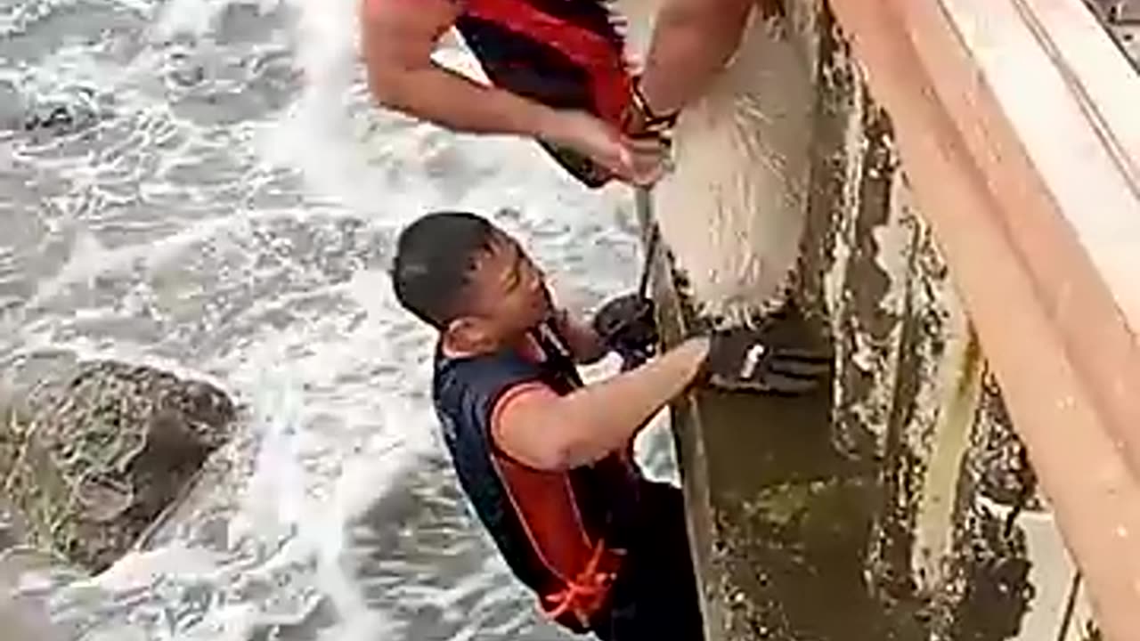 Incredible: Terrified Dog Stranded on Rocks Rescued in Intense Rescue Mission |