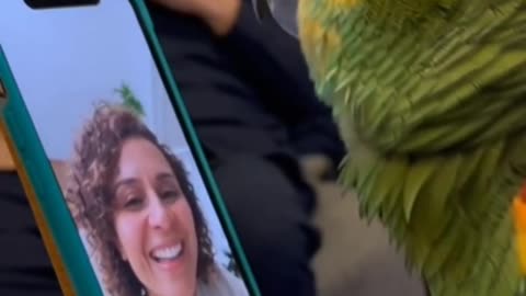 The Funny Parrot 🦜😂