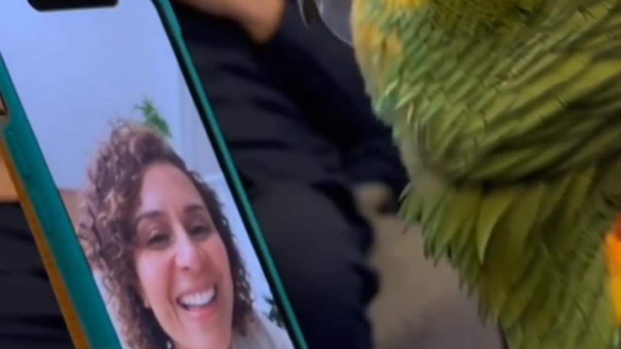 The Funny Parrot 🦜😂