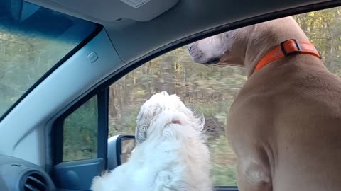 Going on an Adventure 11-06-2025