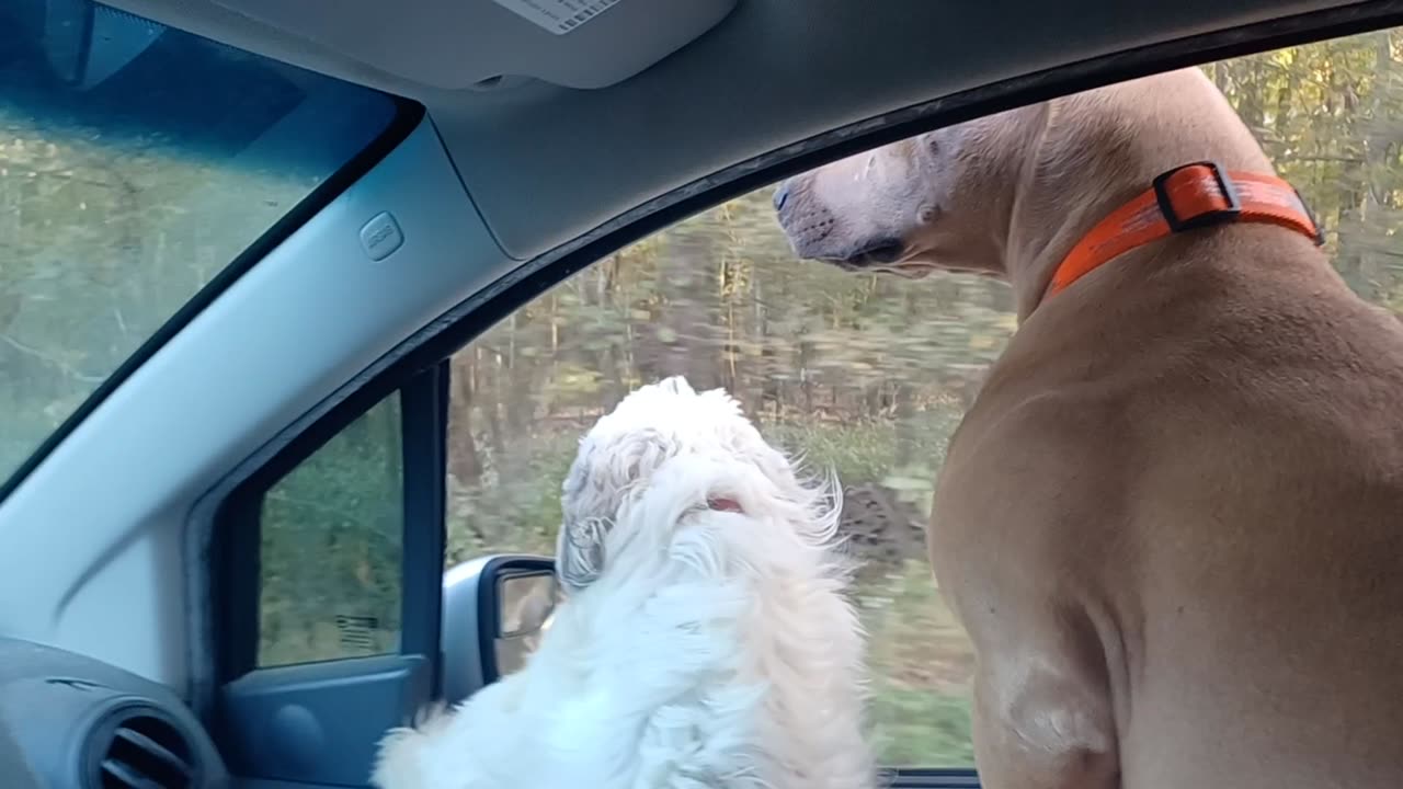 Going on an Adventure 11-06-2025