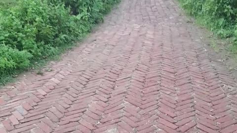 Viral Funny Video 🤣🤣🤣