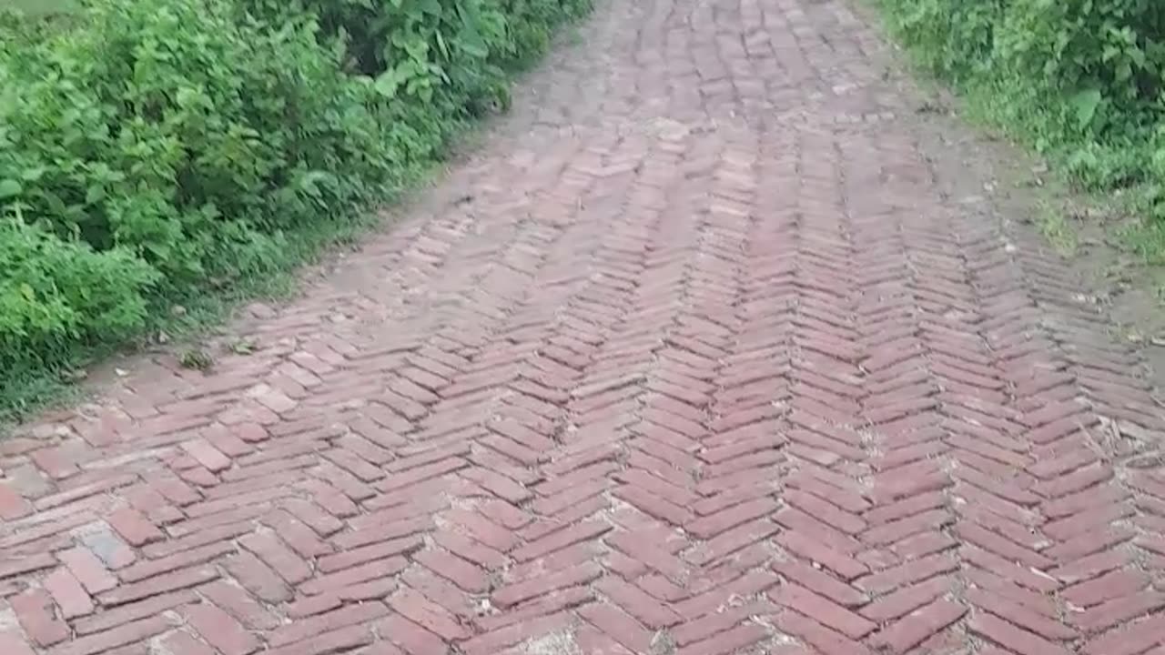 Viral Funny Video 🤣🤣🤣