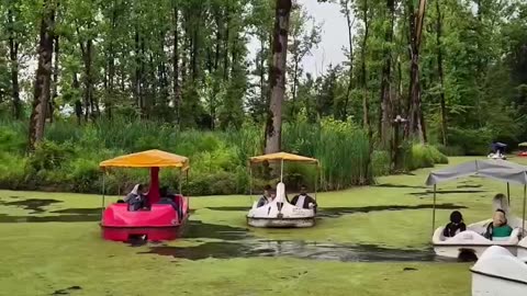 Saravan's Dreamy Marsh
