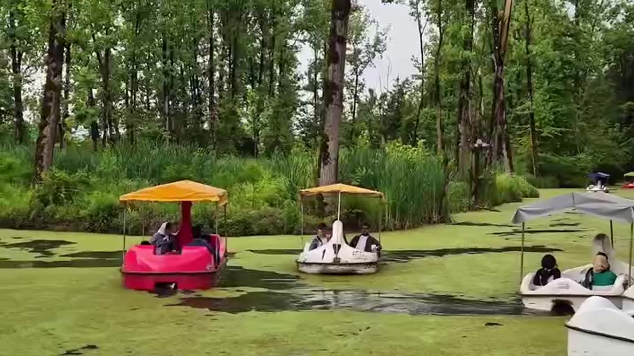 Saravan's Dreamy Marsh