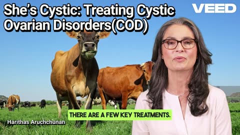 Conquering Cystic Ovarian Disease in Cows