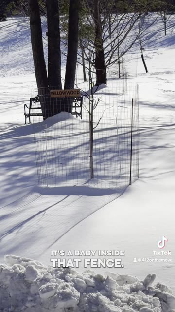 Pleasant Hills Arboretum - Part 1/2